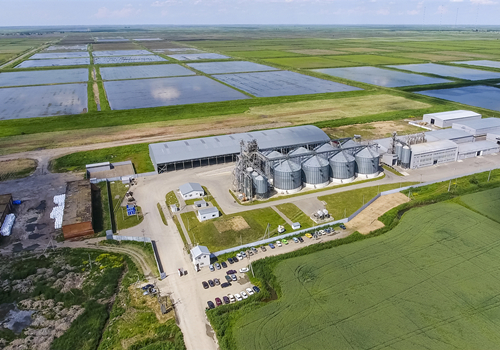Carbon Reduction Challenge: Global Joint Efforts to Address the Climate Crisis