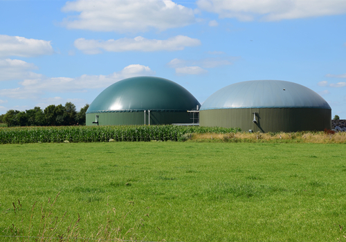 Green Living: 10 Simple Steps to Reduce Your Carbon Footprint